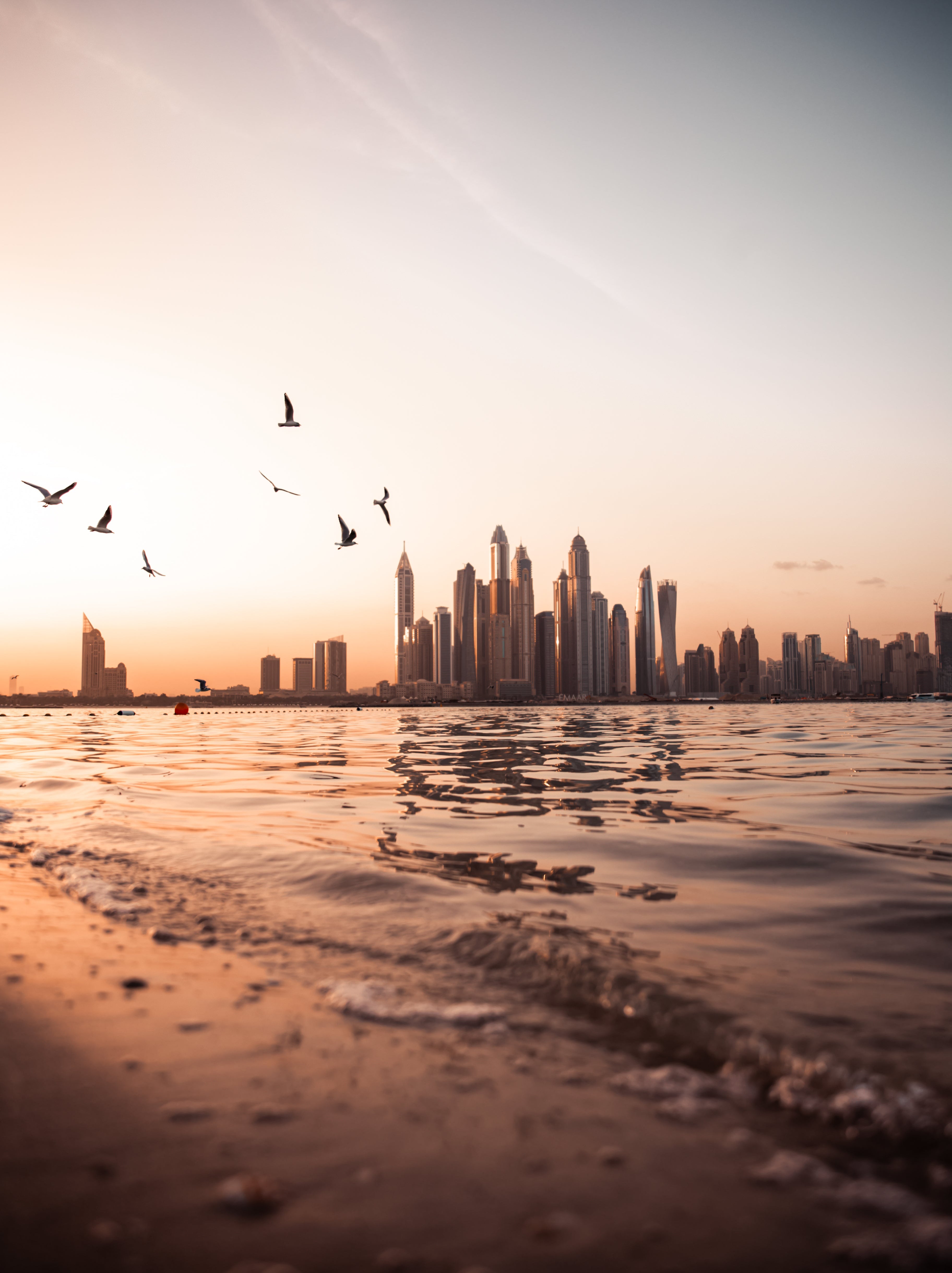 BUNDLE: Headliner + Wedding + Travel